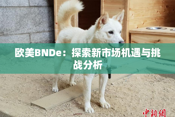 欧美BNDe：探索新市场机遇与挑战分析