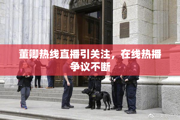 董卿热线直播引关注，在线热播争议不断