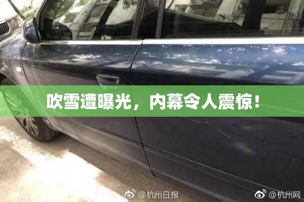 吹雪遭曝光，内幕令人震惊！