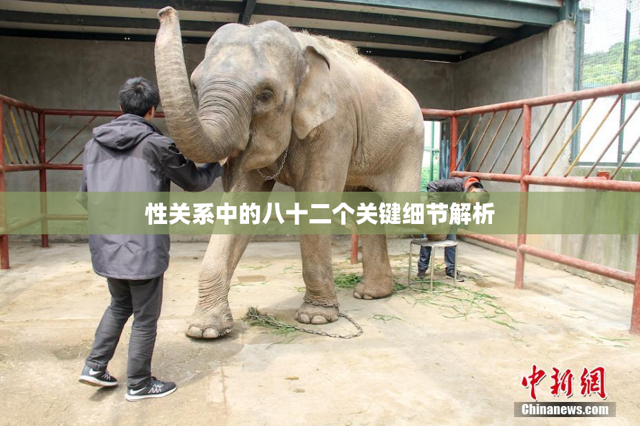 性关系中的八十二个关键细节解析