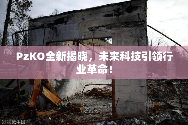 PzKO全新揭晓，未来科技引领行业革命！