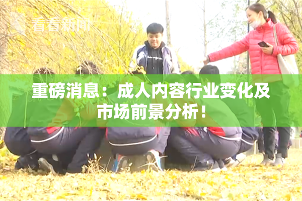 重磅消息：成人内容行业变化及市场前景分析！