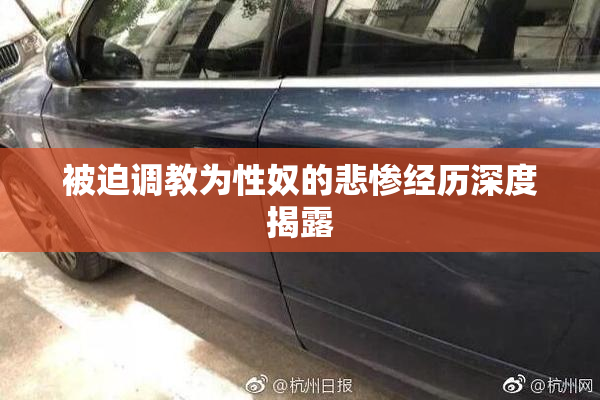 被迫调教为性奴的悲惨经历深度揭露