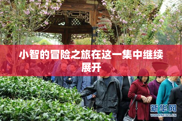 小智的冒险之旅在这一集中继续展开