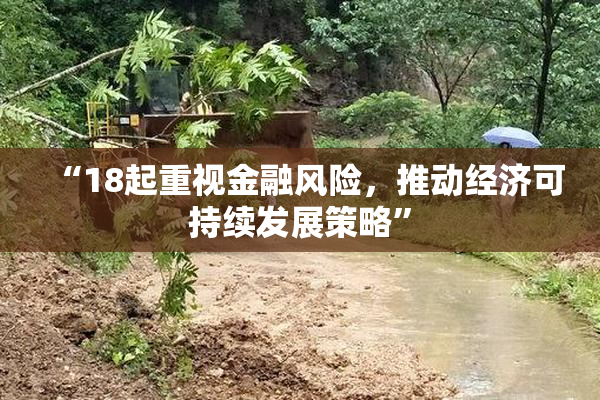 “18起重视金融风险，推动经济可持续发展策略”