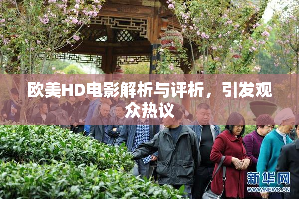 欧美HD电影解析与评析，引发观众热议