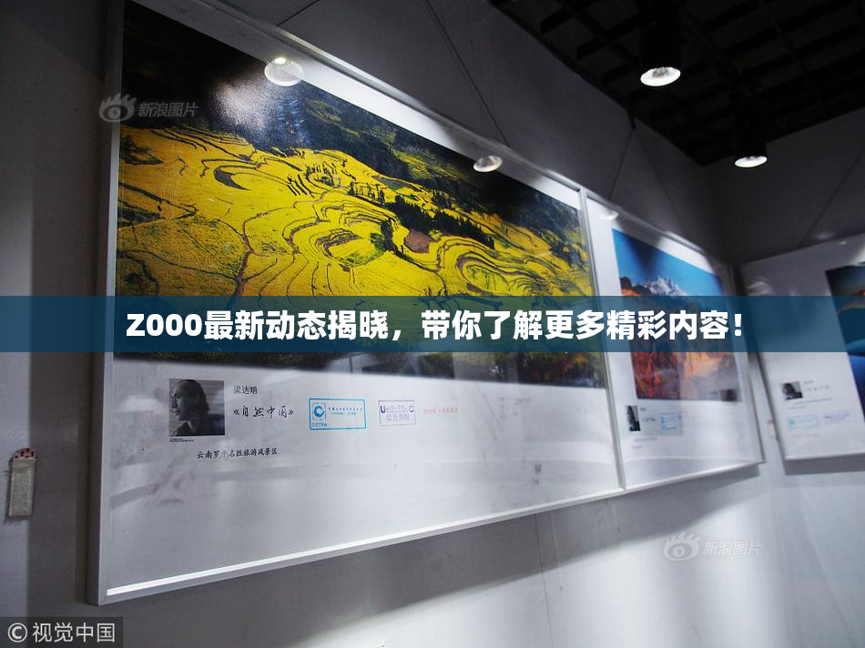 Z000最新动态揭晓，带你了解更多精彩内容！