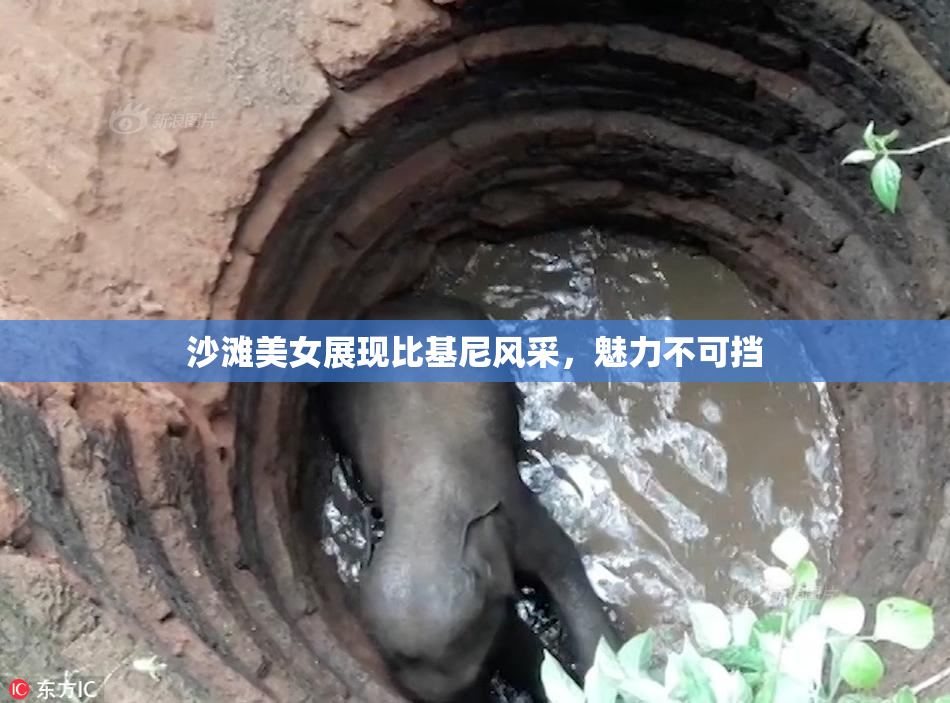 沙滩美女展现比基尼风采，魅力不可挡