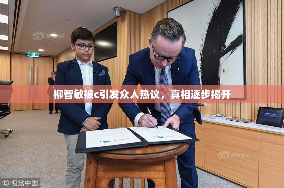 柳智敏被c引发众人热议，真相逐步揭开