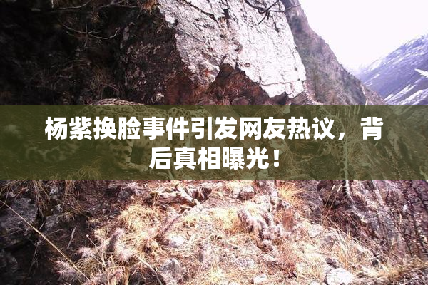 杨紫换脸事件引发网友热议，背后真相曝光！