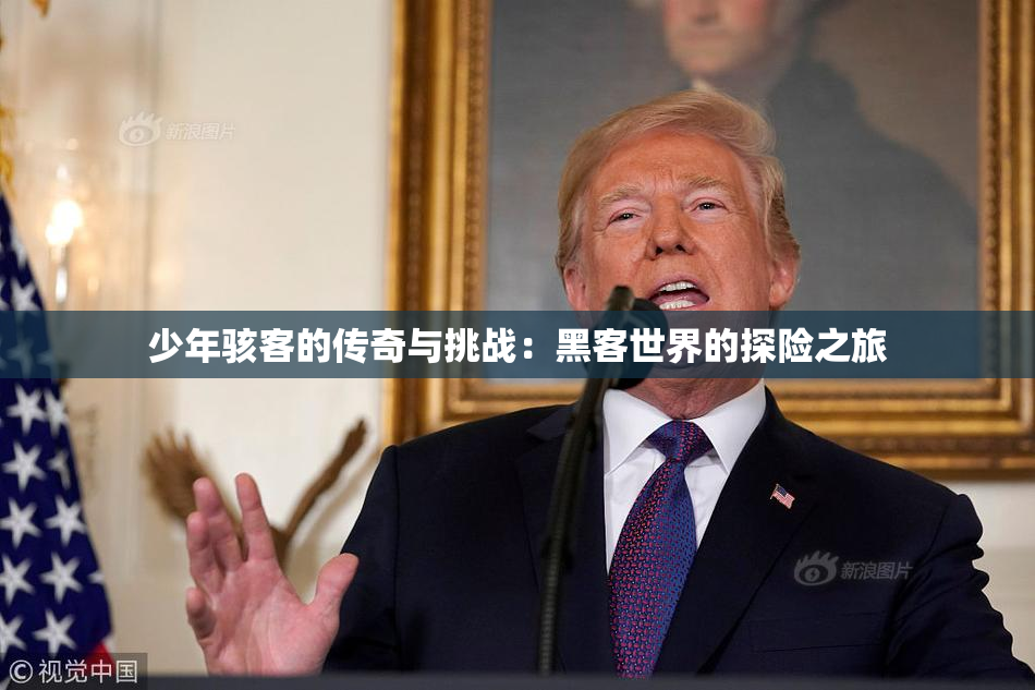 少年骇客的传奇与挑战：黑客世界的探险之旅