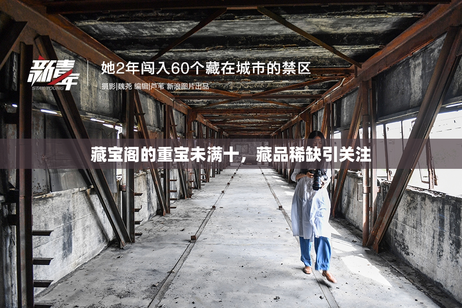 藏宝阁的重宝未满十，藏品稀缺引关注