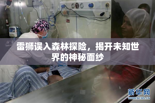 雷狮误入森林探险，揭开未知世界的神秘面纱