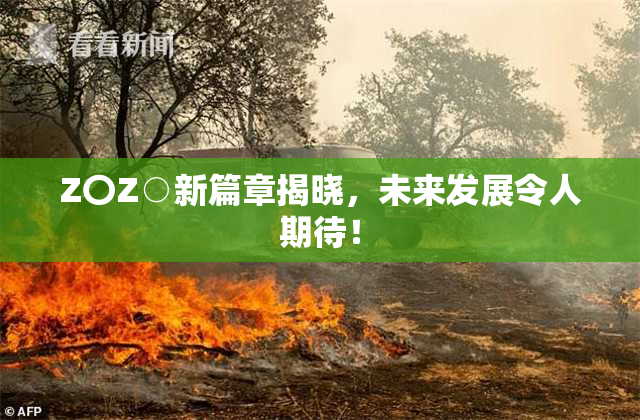 Z〇Z○新篇章揭晓，未来发展令人期待！