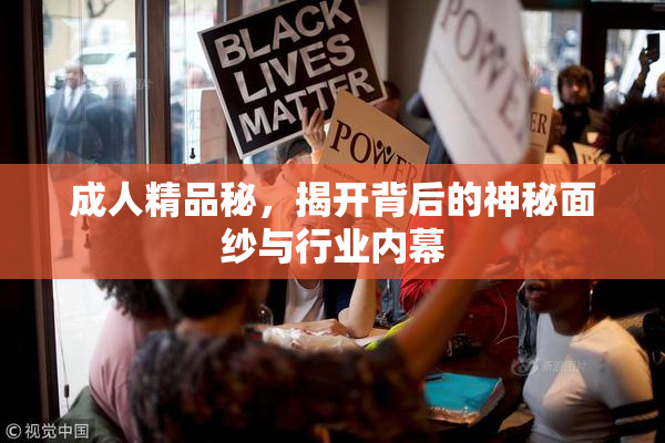 成人精品秘，揭开背后的神秘面纱与行业内幕
