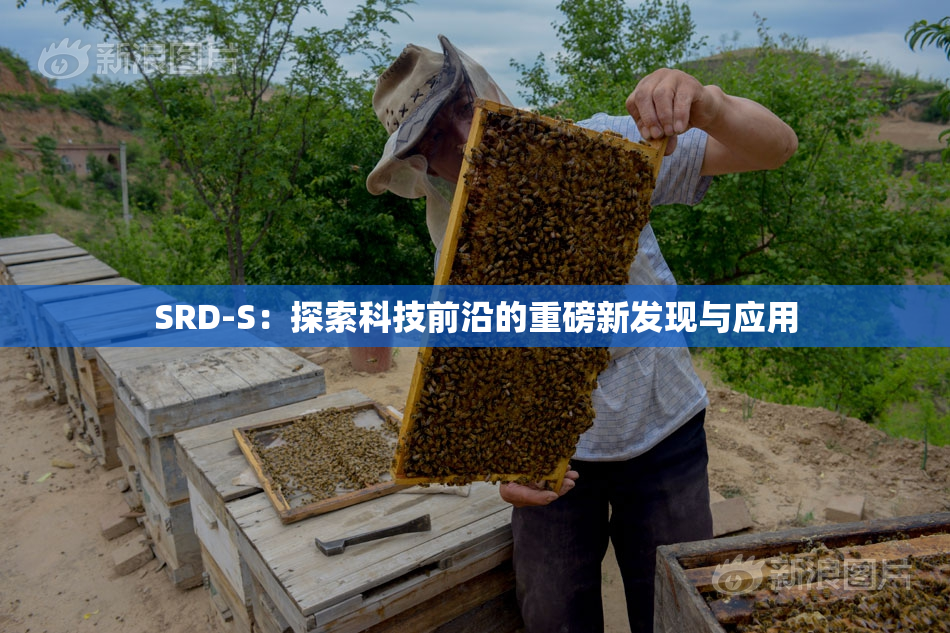 SRD-S：探索科技前沿的重磅新发现与应用