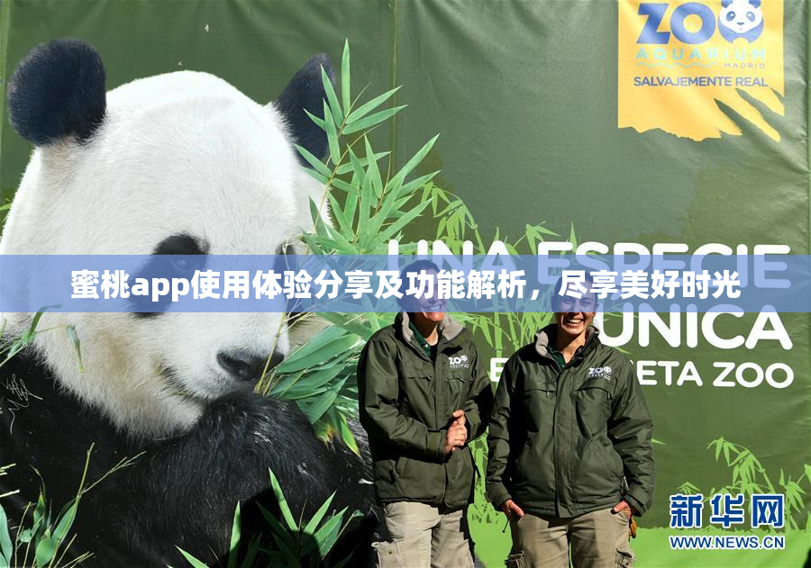 蜜桃app使用体验分享及功能解析，尽享美好时光