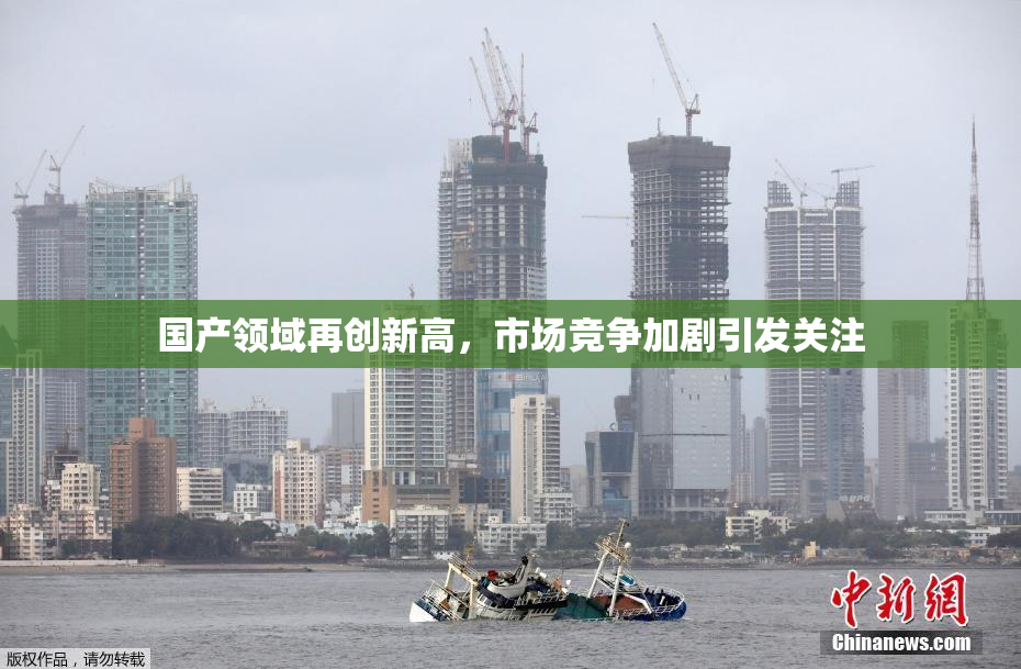 国产领域再创新高，市场竞争加剧引发关注