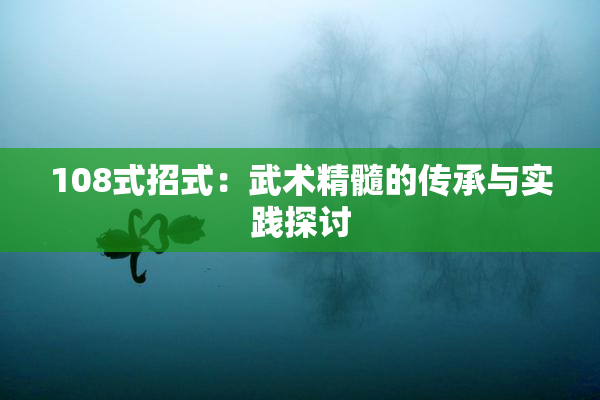 108式招式：武术精髓的传承与实践探讨