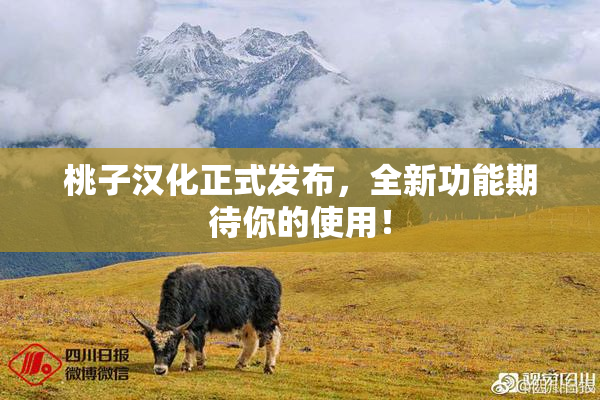 桃子汉化正式发布，全新功能期待你的使用！