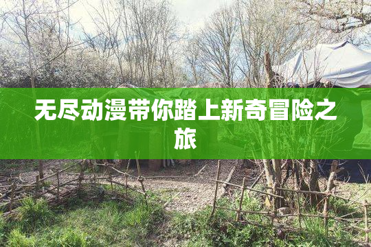 无尽动漫带你踏上新奇冒险之旅