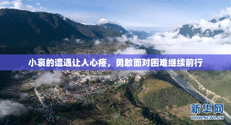 小哀的遭遇让人心疼，勇敢面对困难继续前行