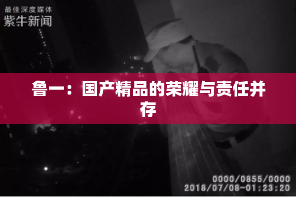 鲁一：国产精品的荣耀与责任并存