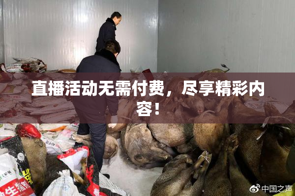 直播活动无需付费，尽享精彩内容！