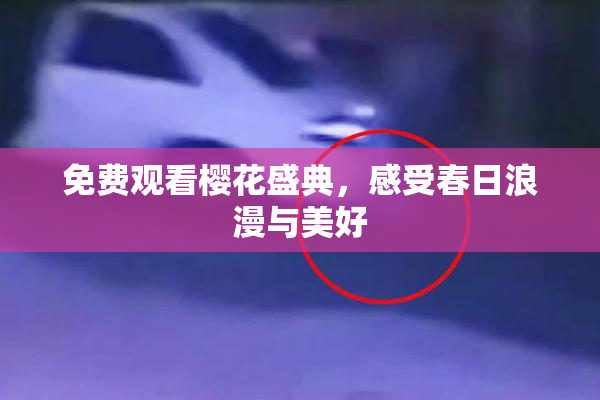 免费观看樱花盛典，感受春日浪漫与美好