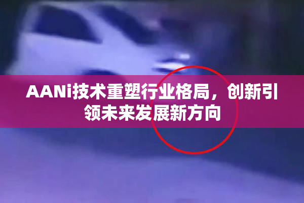 AANi技术重塑行业格局，创新引领未来发展新方向