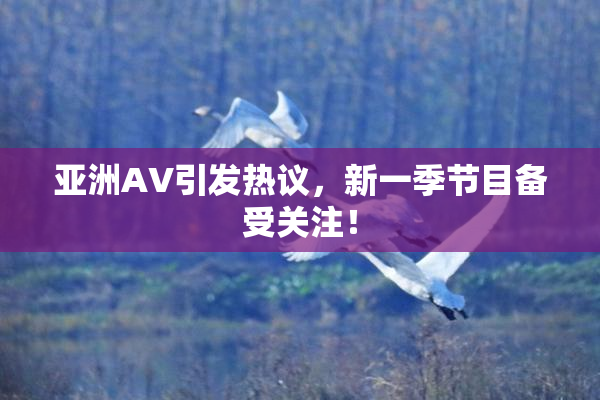 亚洲AV引发热议，新一季节目备受关注！