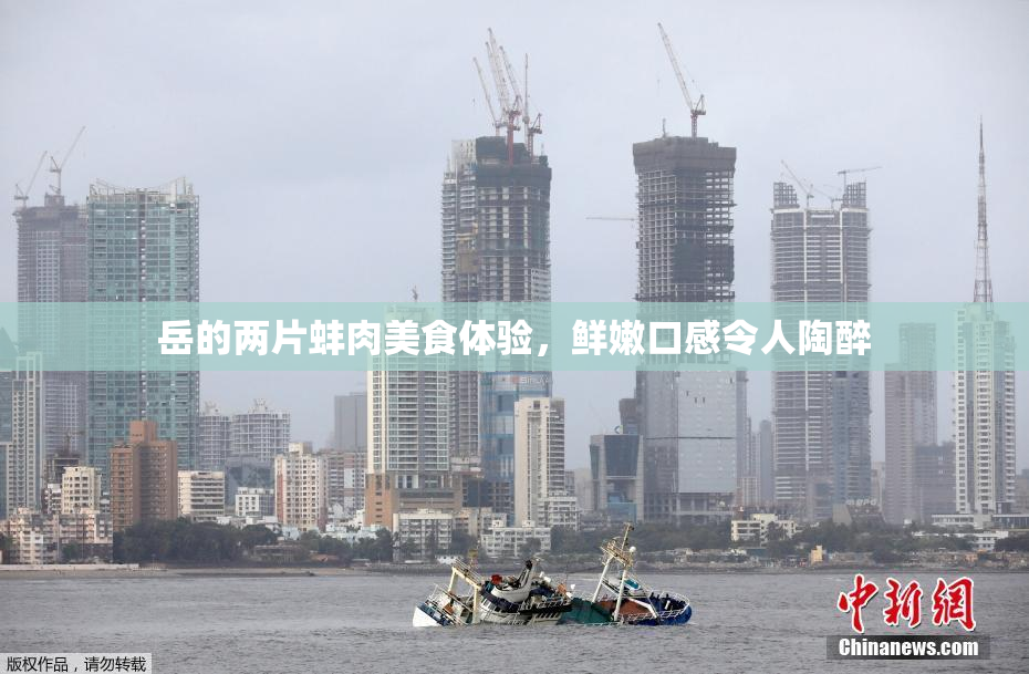 岳的两片蚌肉美食体验，鲜嫩口感令人陶醉