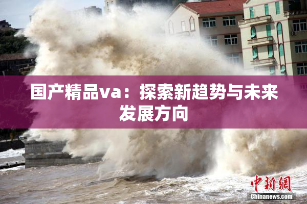 国产精品va：探索新趋势与未来发展方向