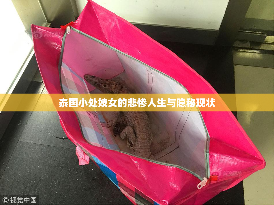 泰国小处妓女的悲惨人生与隐秘现状