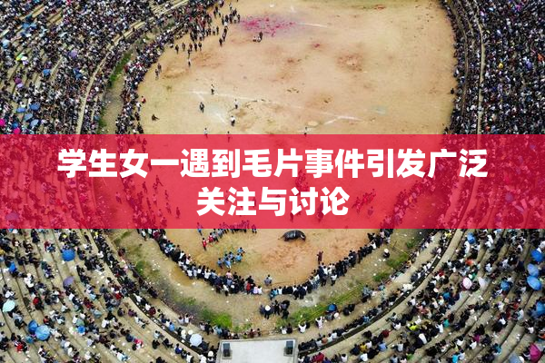 学生女一遇到毛片事件引发广泛关注与讨论