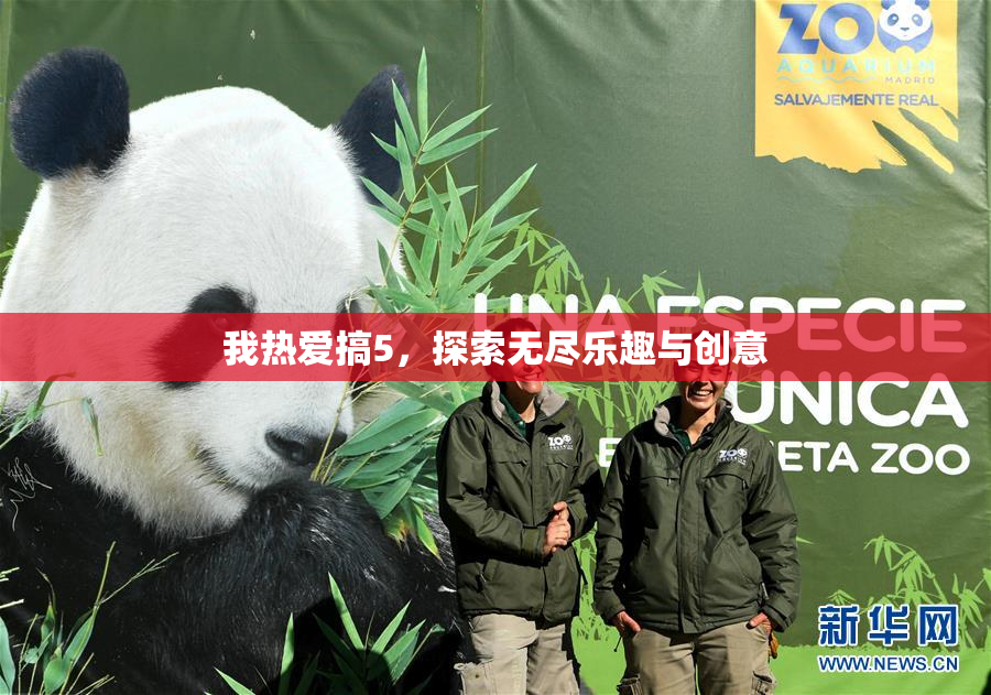 我热爱搞5，探索无尽乐趣与创意