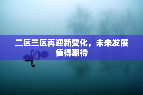 二区三区再迎新变化，未来发展值得期待