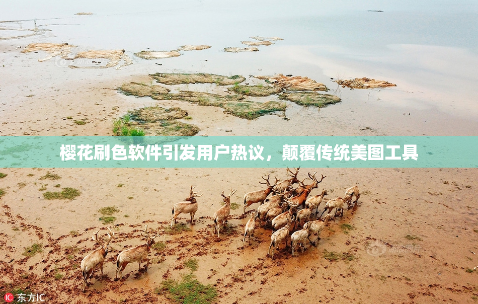 樱花刷色软件引发用户热议，颠覆传统美图工具