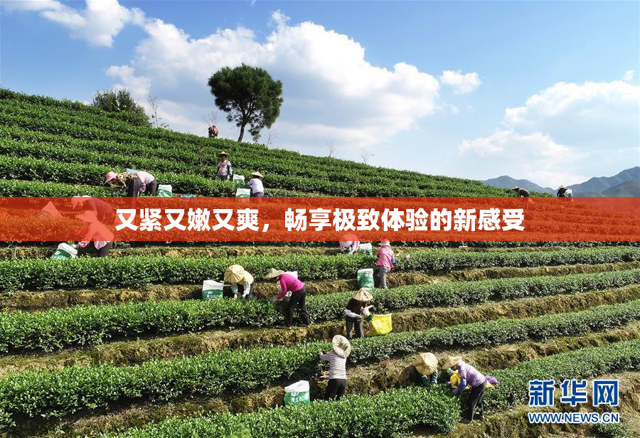 又紧又嫩又爽，畅享极致体验的新感受