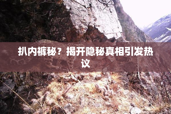 扒内裤秘？揭开隐秘真相引发热议