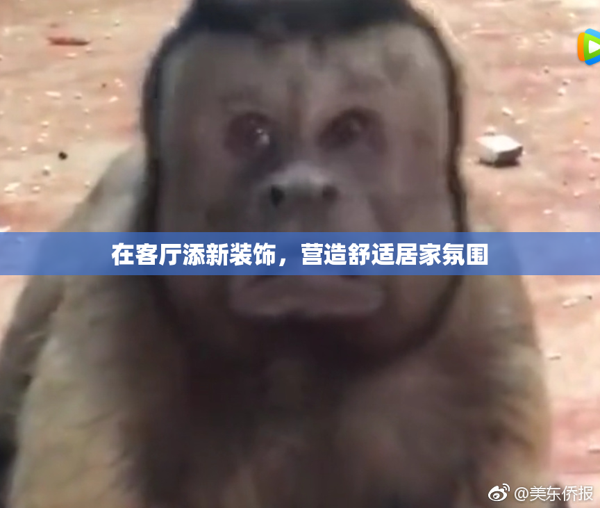 在客厅添新装饰，营造舒适居家氛围