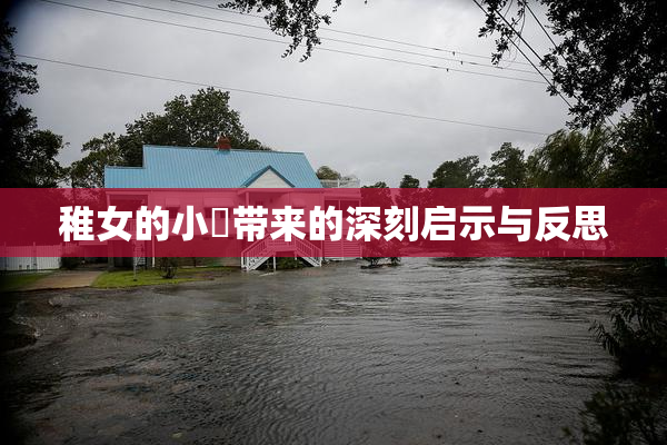 稚女的小泬带来的深刻启示与反思