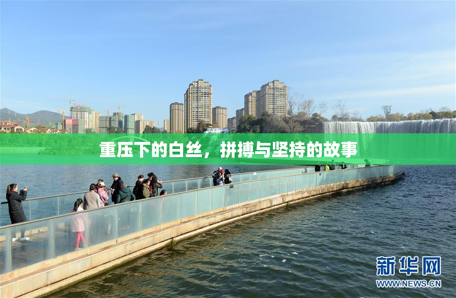 重压下的白丝，拼搏与坚持的故事