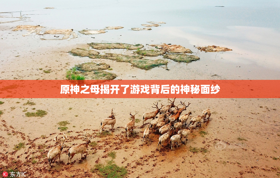 原神之母揭开了游戏背后的神秘面纱