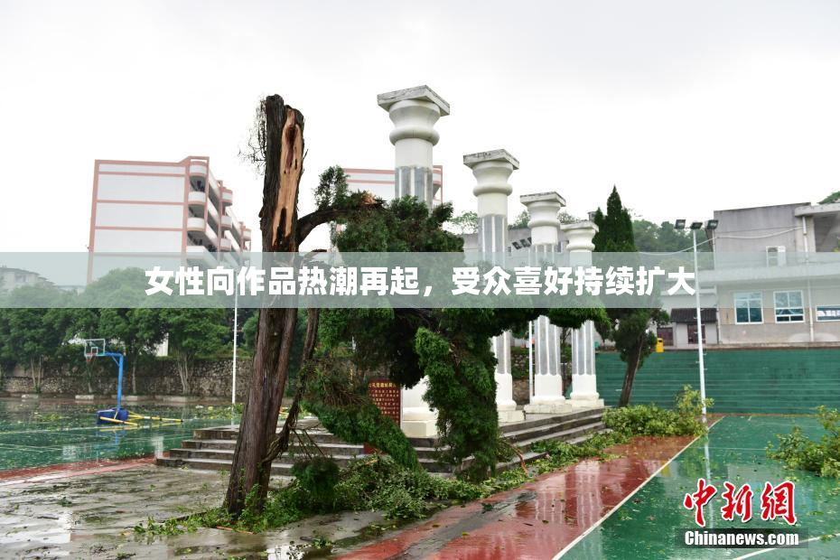 女性向作品热潮再起，受众喜好持续扩大