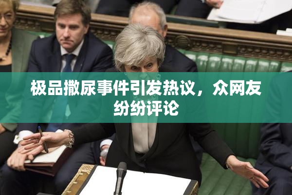 极品撒尿事件引发热议，众网友纷纷评论