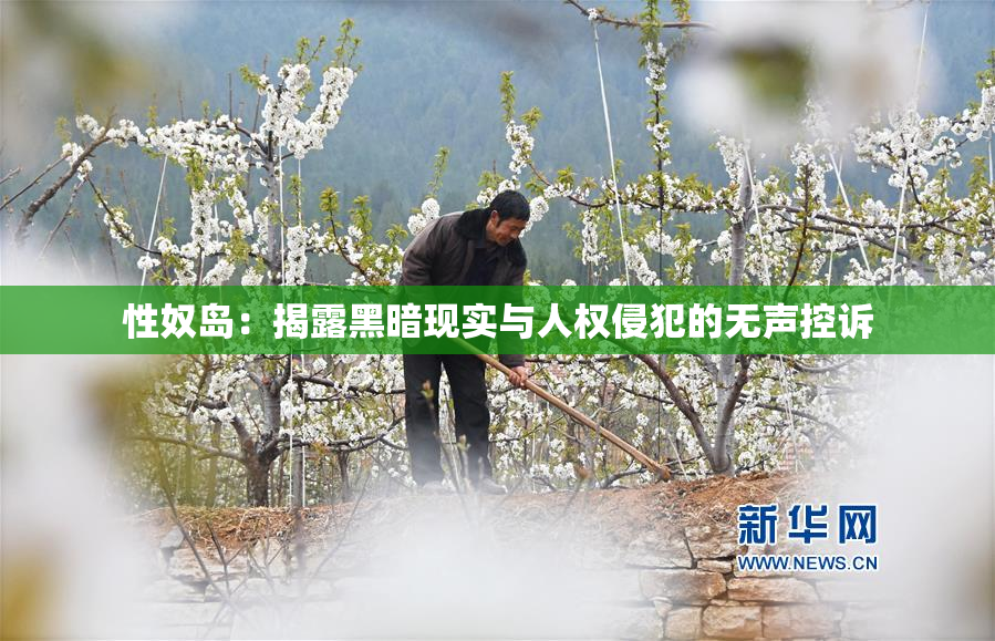性奴岛：揭露黑暗现实与人权侵犯的无声控诉