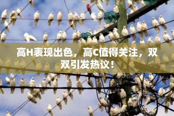 高H表现出色，高C值得关注，双双引发热议！