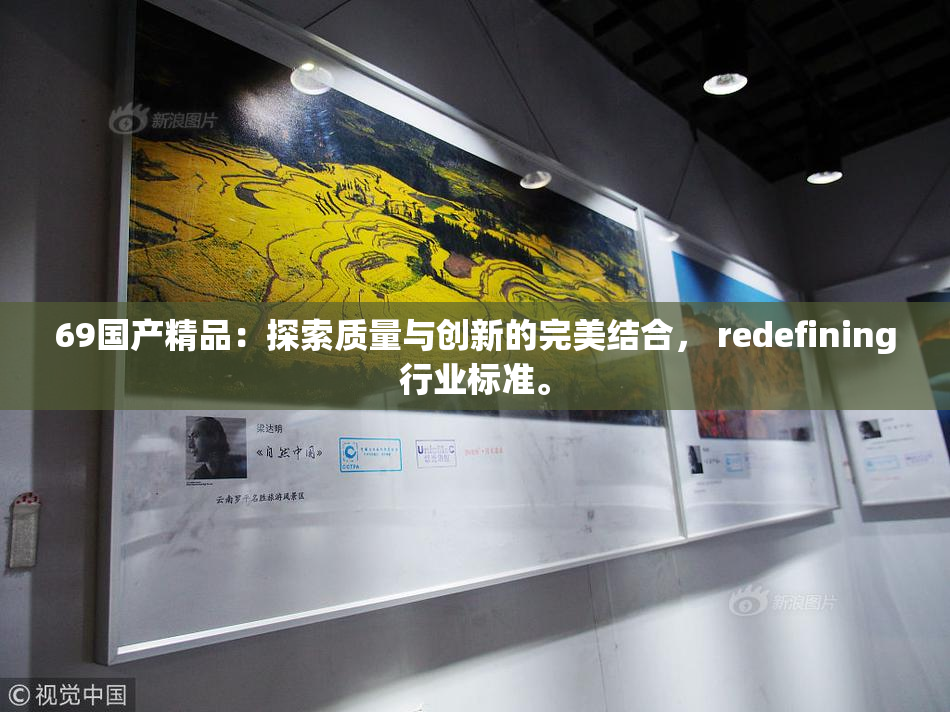 69国产精品：探索质量与创新的完美结合， redefining行业标准。