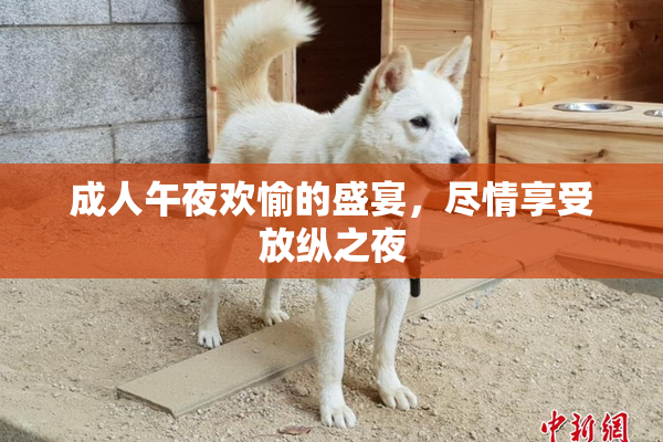 成人午夜欢愉的盛宴，尽情享受放纵之夜